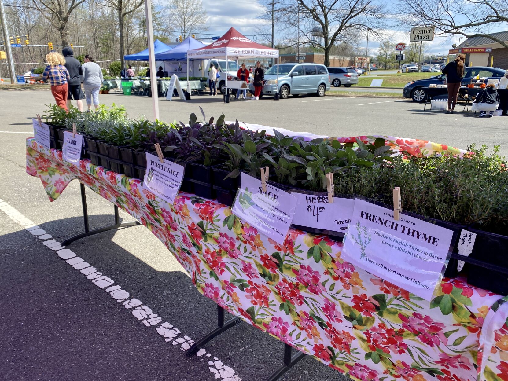 Photo_Lifestyles_farmers market_herbs.jpg